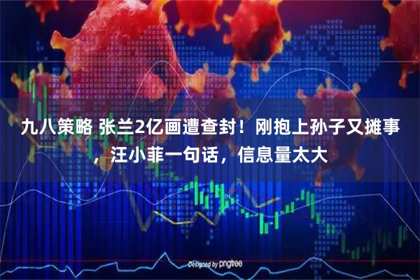 九八策略 张兰2亿画遭查封！刚抱上孙子又摊事，汪小菲一句话，信息量太大