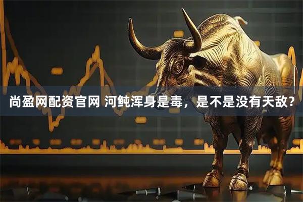 尚盈网配资官网 河鲀浑身是毒，是不是没有天敌？