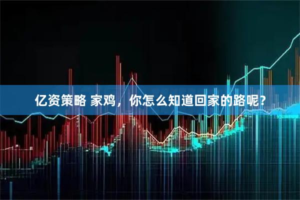 亿资策略 家鸡，你怎么知道回家的路呢？