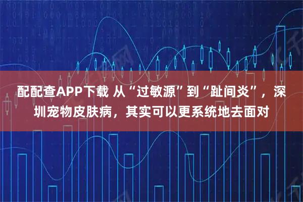 配配查APP下载 从“过敏源”到“趾间炎”，深圳宠物皮肤病，其实可以更系统地去面对