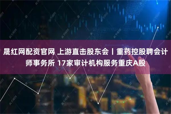 晟红网配资官网 上游直击股东会丨重药控股聘会计师事务所 17家审计机构服务重庆A股